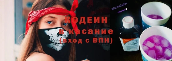 прущие грибы Абинск