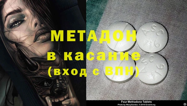 прущие грибы Абинск