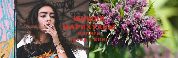 прущие грибы Абинск