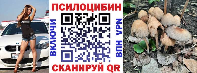 магазин продажи   Курчатов  Псилоцибиновые грибы MAGIC MUSHROOMS 